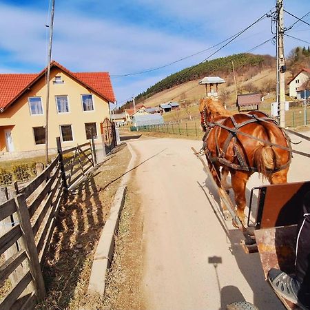 Apartament Casa Asined Întorsura Buzăului Zewnętrze zdjęcie